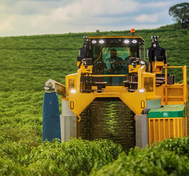 Imagem de produtos Stone Agro